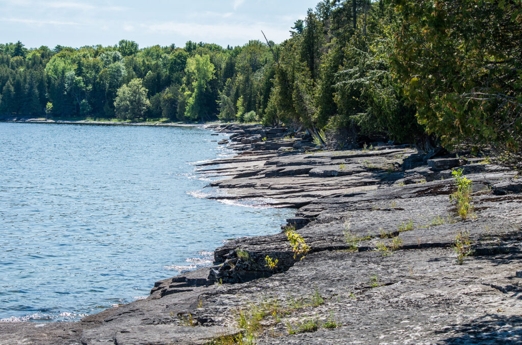 Close-up of docks at Valcour Island Marina with boats tied up and serene lake views.