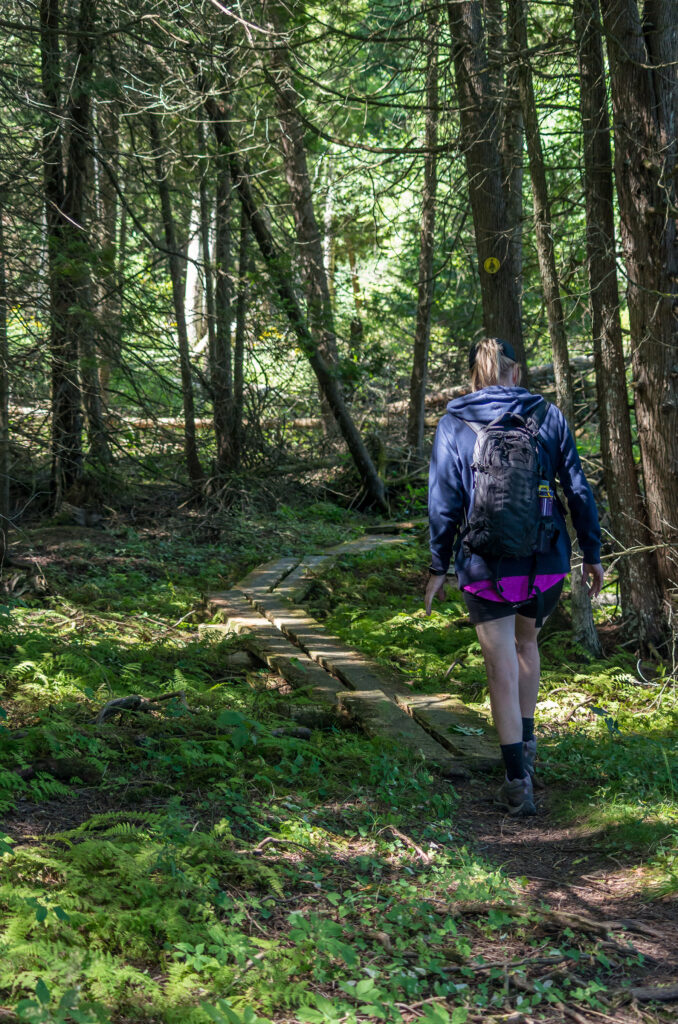 Vertical photo of a woman hiking through a lush green forest